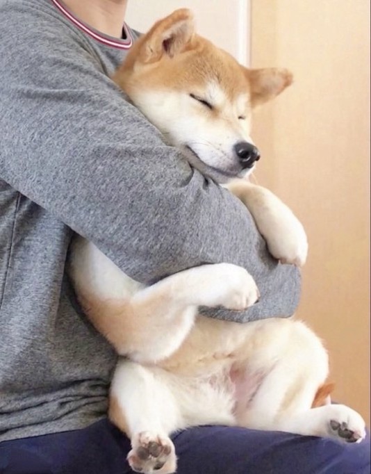 Momo being hugged