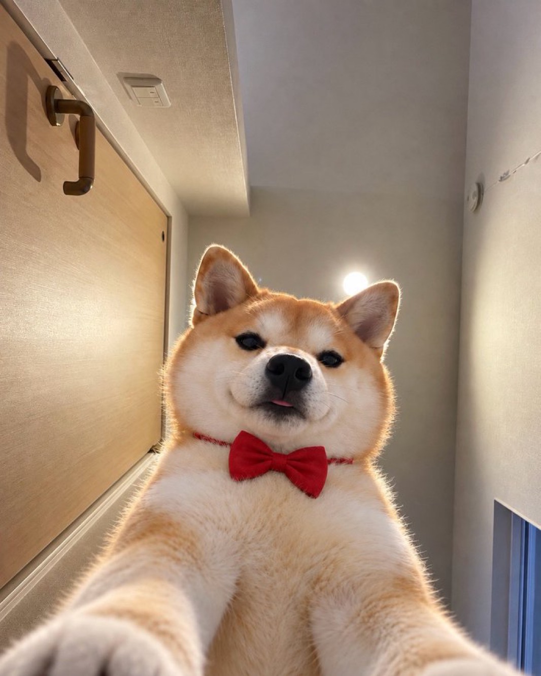 A close selfie of Momo